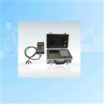 振弦频率仪  型号:DFHB-160450
