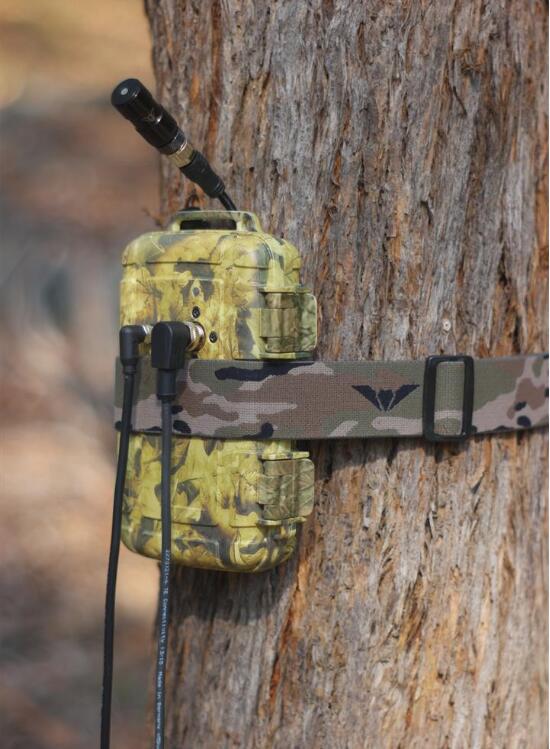 主動式蝙蝠探測器Anabat Scout 