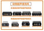 动物声音超声波功率放大器70101