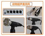 动物声音超声录音系统416Hb