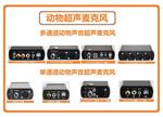 动物声音超声录音仪416Hb