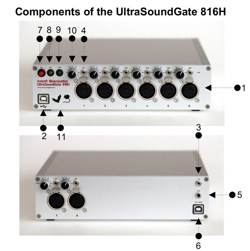 生物声学记录器UltraSoundGate 816H