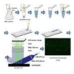 牛奶体细胞分析仪 Lactoscan SCC