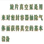 直联旋片式真空泵 型号:HBY09-2XZ-1