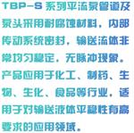 恒流泵 型号:NN12-TBP-1H02S