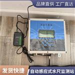 自动电子水尺监测站、无线上传