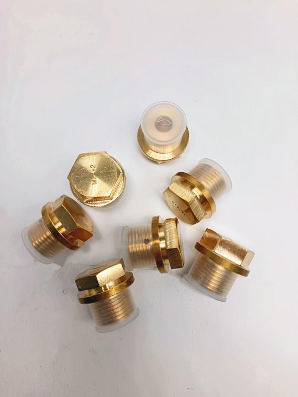 GB2028-80船用黄铜放泄螺塞带链