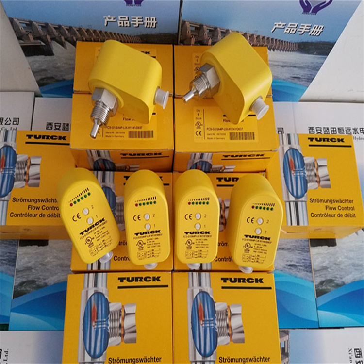 流量变送器FCS-G1/2A4P-LIX-H1141