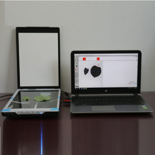 针叶图像分析仪 型号:TT34-FS-leaf1000Z 针叶图像分析仪 型号:TT34-FS-leaf1000Z