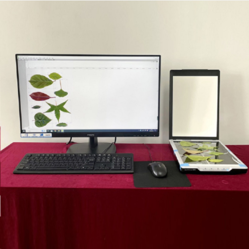 针叶图像分析仪 型号:TT34-FS-leaf1000Z