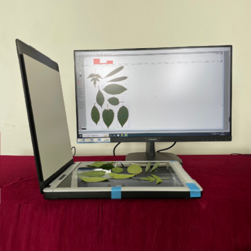 针叶图像分析仪 型号:TT34-FS-leaf1000Z