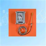 温度指示控制器 型号:LBWY-803 温度指示控制器 型号:LBWY-803