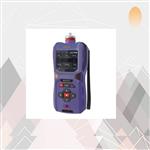 多功能复合气体检测仪 型号:NGP40-60-Y 