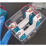 四板垂直电泳仪 型号:YK22-DYCZ-MINI4 四板垂直电泳仪 型号:YK22-DYCZ-MINI4