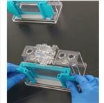 四板垂直电泳仪 型号:YK22-DYCZ-MINI4 四板垂直电泳仪 型号:YK22-DYCZ-MINI4