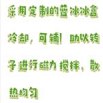 轉(zhuǎn)印電泳儀 型號:HL61-DYCZ-40K