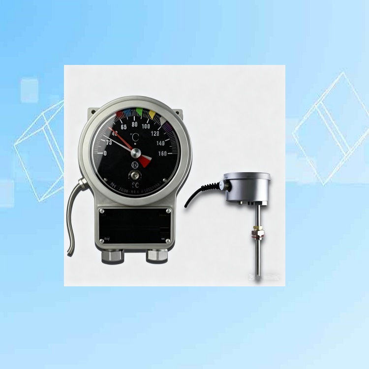 绕组温控器 型号:BWR-6