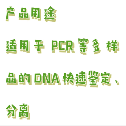 快速凝膠電泳儀 型號:CN61-DYCP-44N