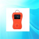 便携式可燃气体检测仪 型号:DR-650 便携式可燃气体检测仪 型号:DR-650