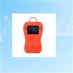 便携式可燃气体检测仪 型号:DR-650 便携式可燃气体检测仪 型号:DR-650