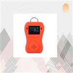 便携式可燃气体检测仪 型号:DR-650 便携式可燃气体检测仪 型号:DR-650