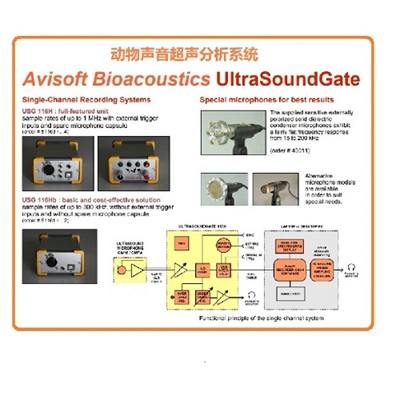 德國Avisoft動物超聲信號發生器
