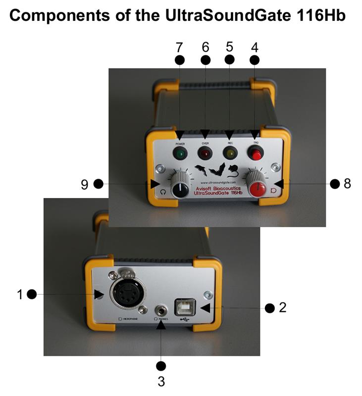 德国Avisoft超声动物声音记录仪