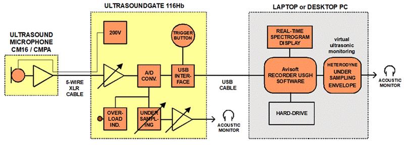 德國(guó)Avisoft超聲動(dòng)物聲音記錄儀