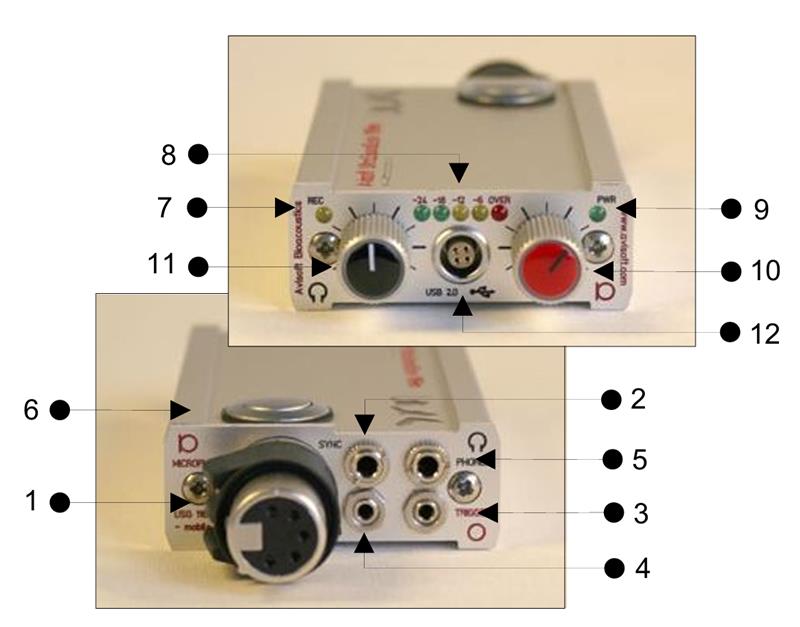 德國Avisoft便攜式超聲錄音系統（移動式）