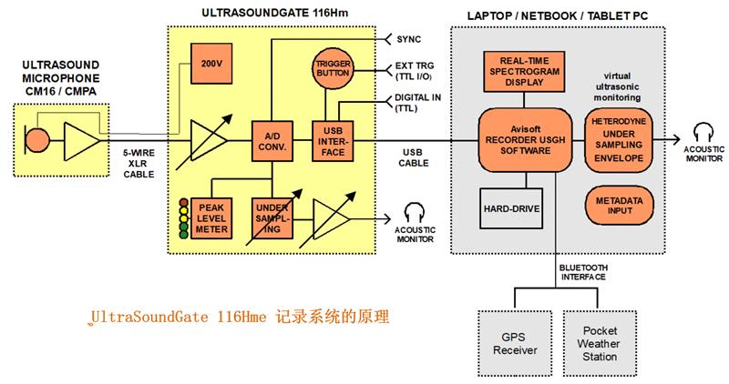 德國Avisoft便攜式超聲錄音系統（移動式）