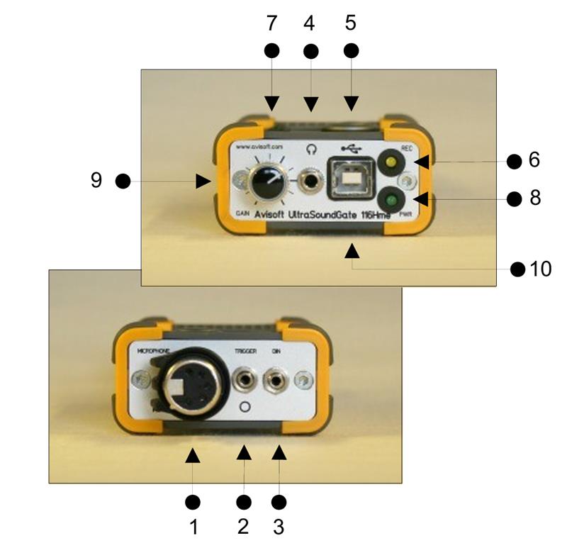 德国Avisoft动物超声录制系统