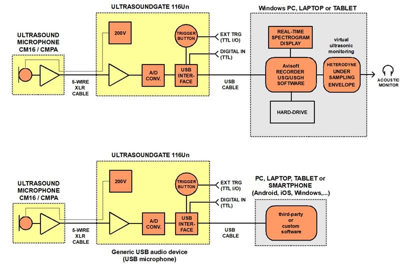 德國(guó)Avisoft超聲波動(dòng)物聲音分析儀