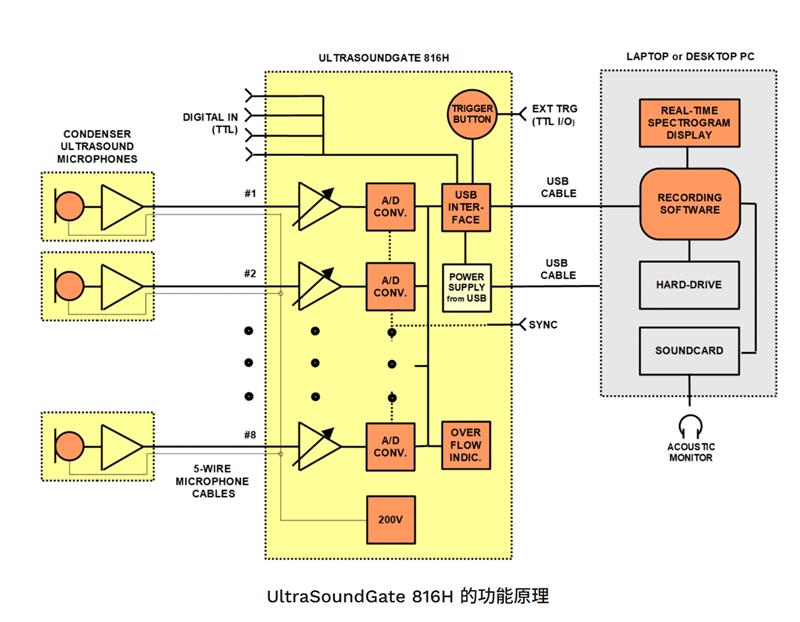 德國Avisoft多通道動物超聲聲譜錄制儀