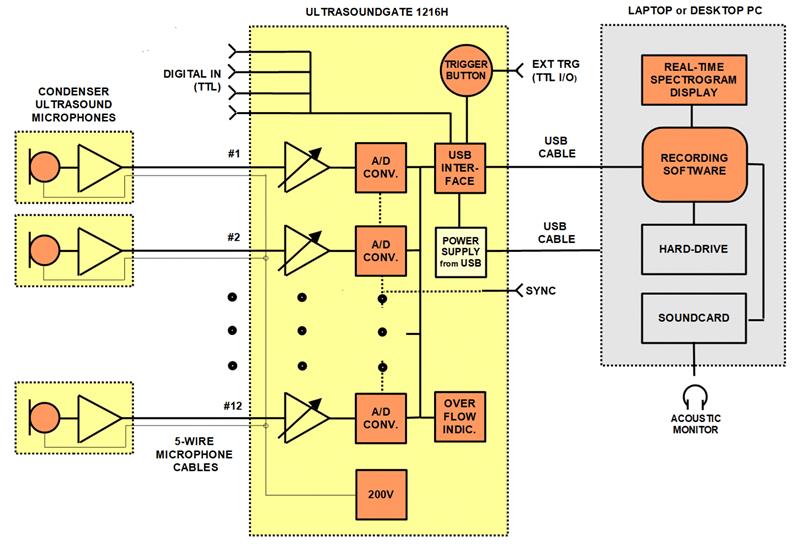 德國Avisoft生物聲學記錄器