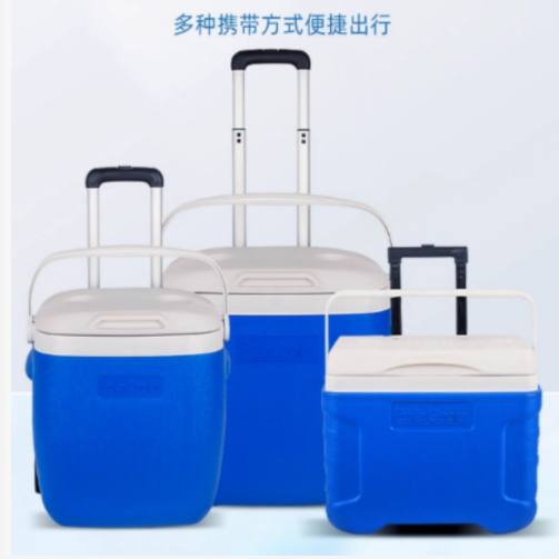 冷鏈生物運輸箱/40L 型號:LL177-40L