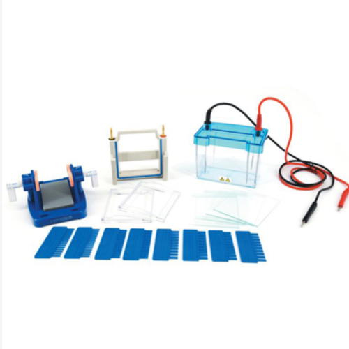 迷你双垂直电泳仪(小号) 型号:DYCZ-24DN