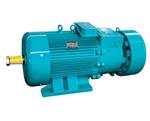 YZRW 冶金起重渦流制動繞線轉子電機 YZRW 冶金起重渦流制動繞線轉子電機