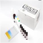 辣椒素試劑盒/國(guó)產(chǎn) 型號(hào):SJ93-CA60103