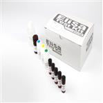 辣椒素試劑盒/國產 型號:SJ93-CA60103