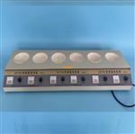 實驗室加熱套 BY9-6x500ml庫號：M73547 