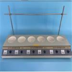 實驗室加熱套 BY9-6x500ml庫號：M73547 