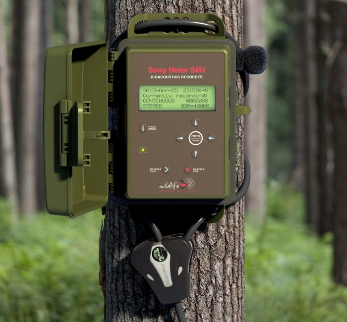 美國wildlife 野生動物鳴聲記錄儀