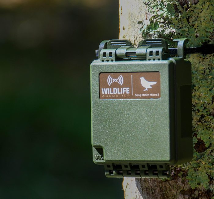 美國wildlife 野生動物鳴聲記錄儀