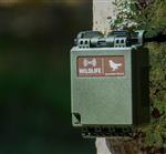 美国wildlife 野生动物鸣声记录仪