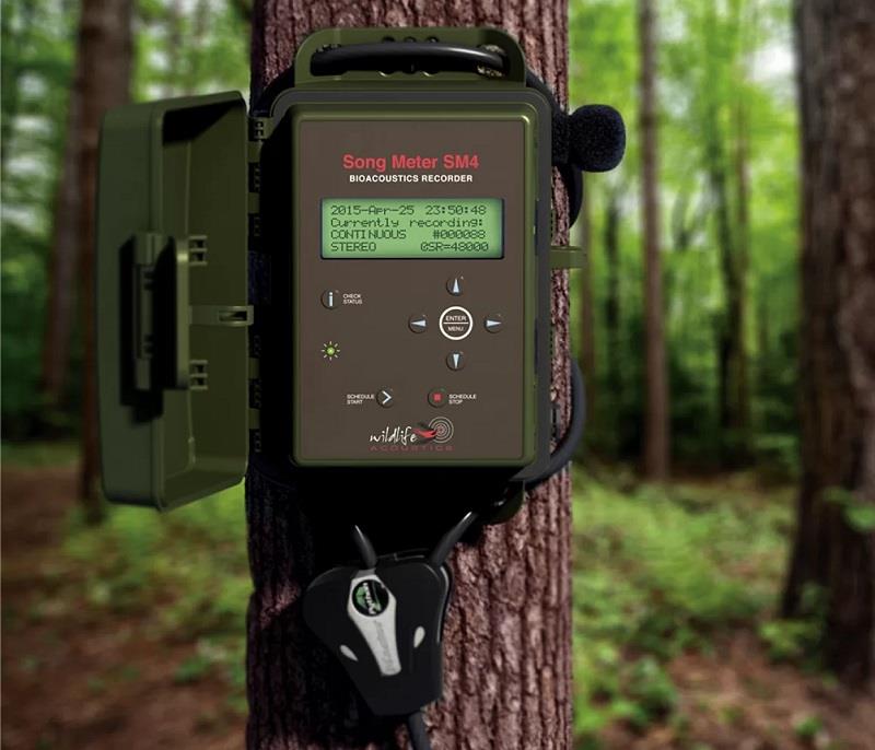 美國wildlife 野生動物鳴聲記錄儀