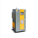 電加熱蒸汽發(fā)生器 型號(hào):LDR0.085-0.7