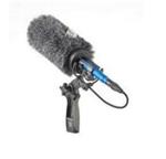 鳥類鳴聲記錄儀