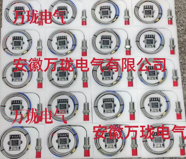 兩線振動變送器探頭TS-CWY-D0-Ф8-40-01-00