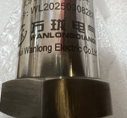 兩線振動變送器探頭TS-CWY-D0-Ф8-40-01-00