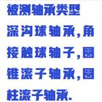 軸承振動(dòng)測試儀（中西器材）WYR01-BVT-6